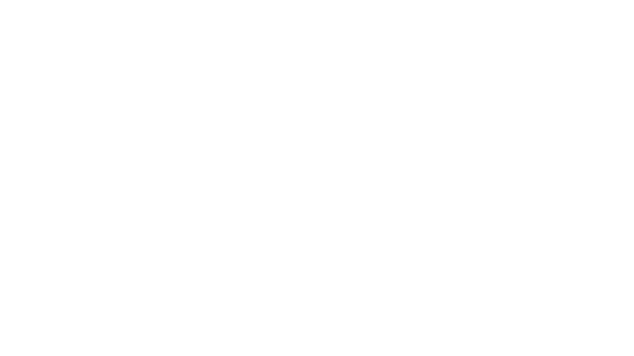 Carl Zeiss